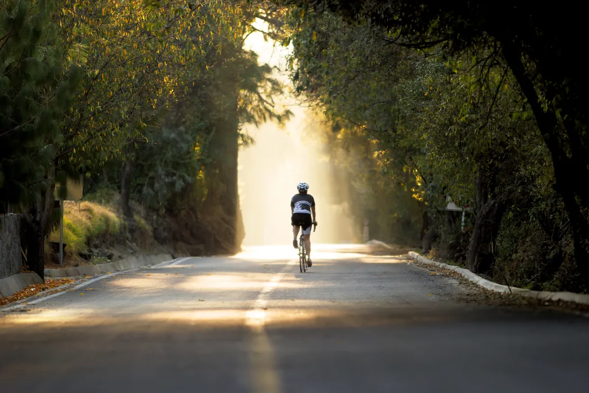 What Happens If You Hit a Cyclist with Your Car in Nevada Cover Image