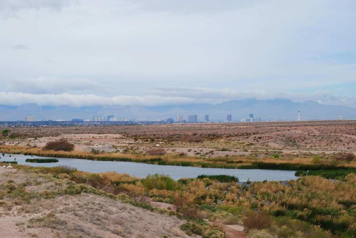 a river running through a dry grass field