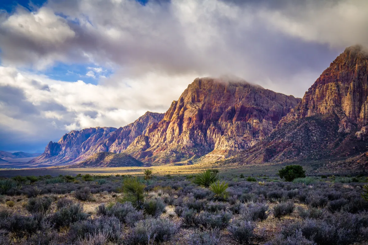 mountains in the distance with a few bushes and bushes in the foreground