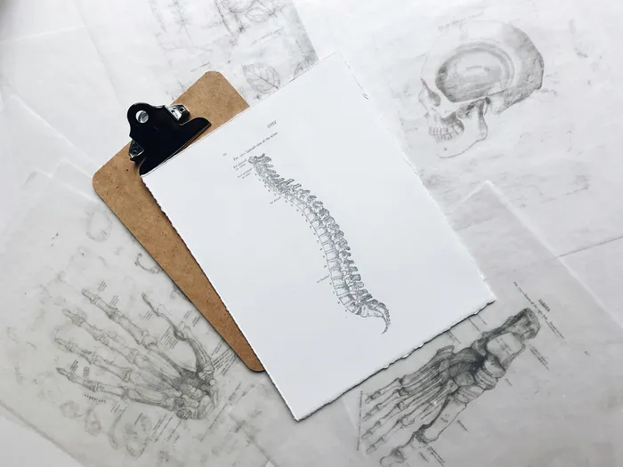 Paraplegic vs Quadriplegic: Differences Explained Cover Image