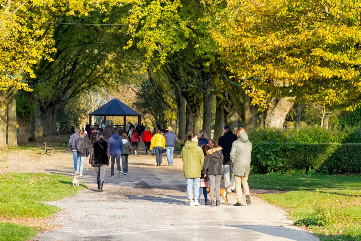 people walking down a path in a park with trees lining the path