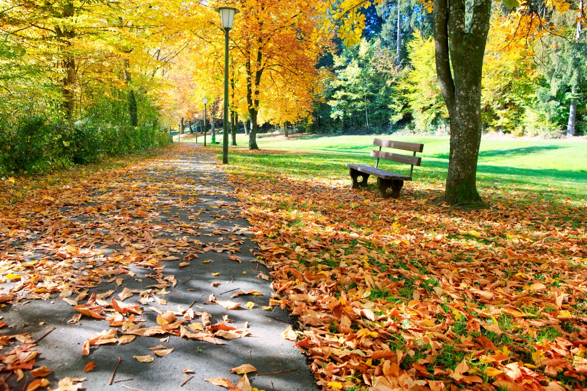 What To Do If You Were Injured In A Public Space Cover Image